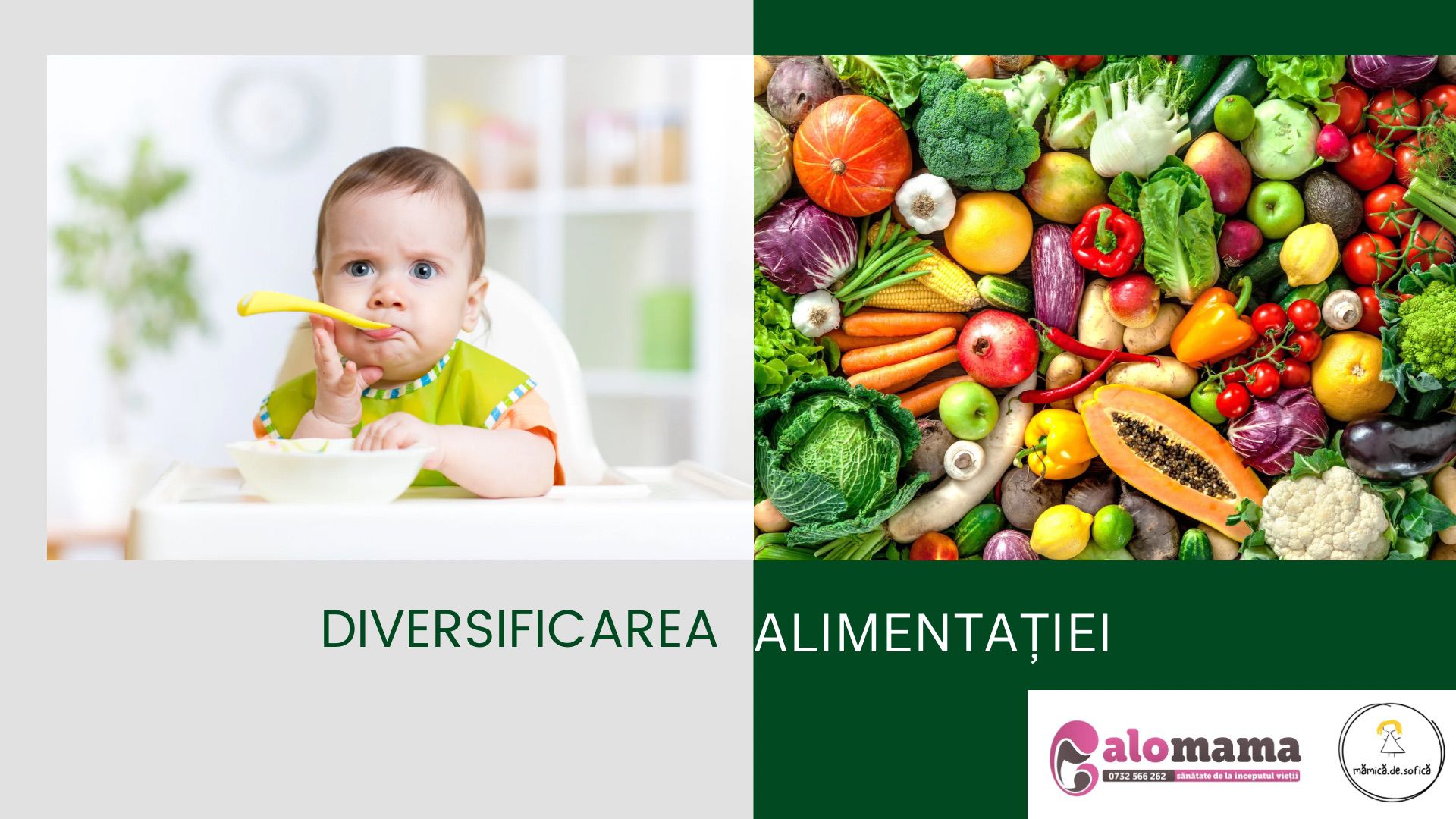 Ebook - Diversificarea alimentației